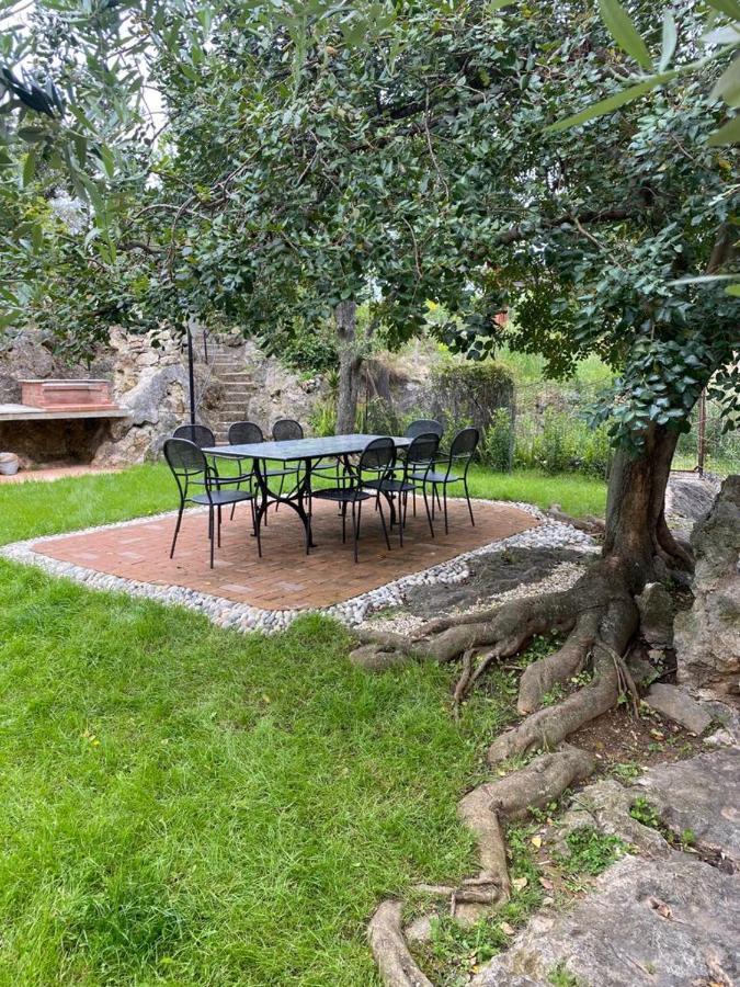 Villa Paolina Ceriale - App. 4 Posti Exterior foto